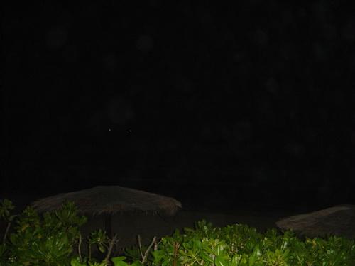 1108.jpg